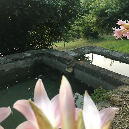 Relax Nella Natura Bolano Bagian luar foto