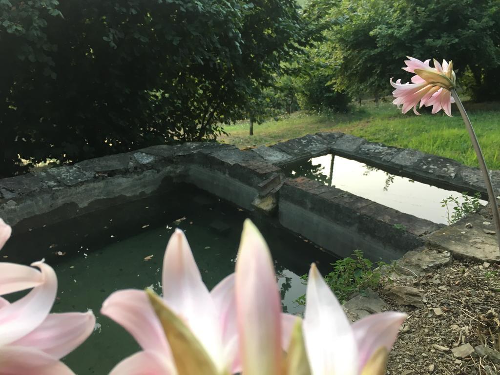 Relax Nella Natura Bolano Bagian luar foto