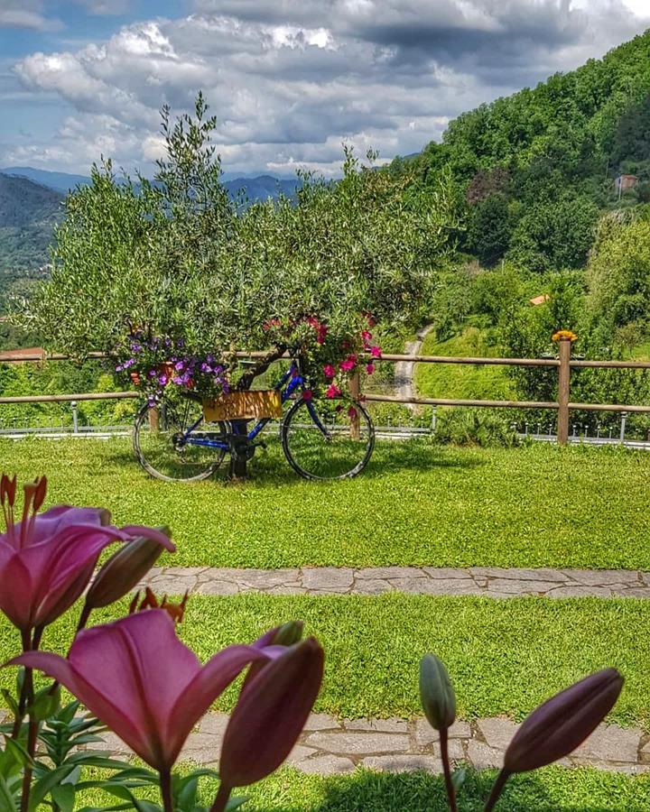 Relax Nella Natura Bolano Bagian luar foto